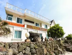 Handamnuri Guesthouse | Jeju Adası - Jeju - Aewol