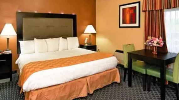 Econo Lodge Clarks Summit | Pensilvanya - Scranton (ve civarı) - Clarks Summit - Chinchilla