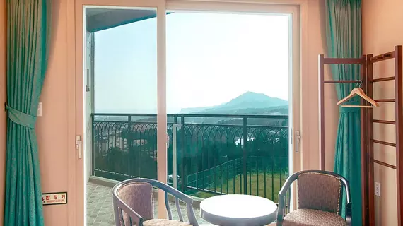 J View Hotel | Jeju Adası - Seogwipo - Jungmun