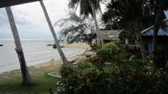 Bird Bungalow | Surat Thani (vilayet) - Koh Phangan