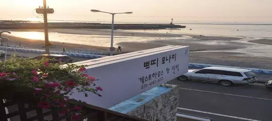 Petit Monami Guesthouse | Jeju Adası - Jeju - Jeju Şehri