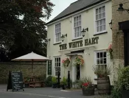 The White Hart Country Inn | Cambridgeshire (ilçe) - Cambridge