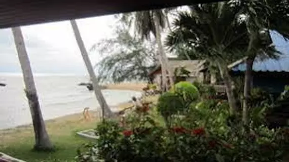 Bird Bungalow | Surat Thani (vilayet) - Koh Phangan