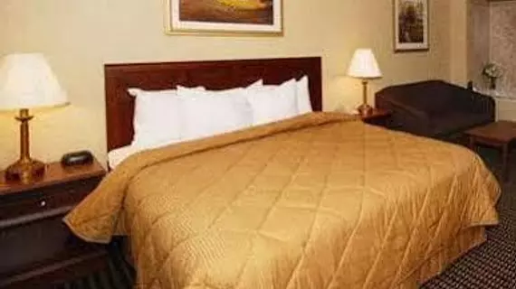 Comfort Inn of Livonia | Michigan - Detroit (ve civarı) - Livonia