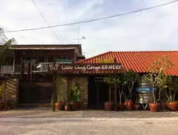 TNT Novelty Vacation House | Perak - Teluk Intan