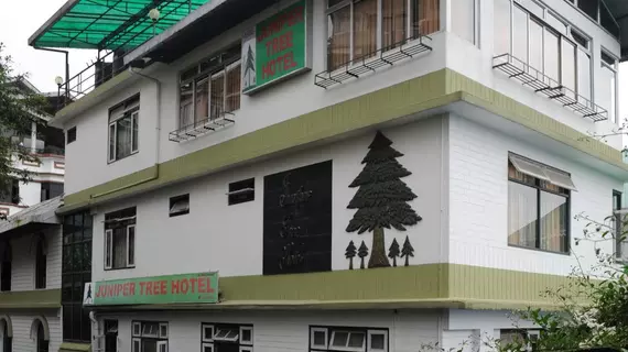 Juniper Tree Hotel | Sikkim - Gangtok