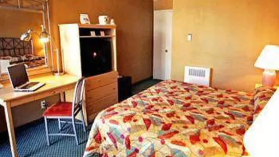 Civic Center Motor Inn | Kaliforniya - San Fransisko (ve civarı) - San Francisco - South of Market