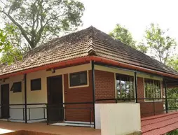 Clouds Land | Kerala - Idukki Bölgesi - Devikolam