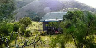 Bay of Plenty Lodge