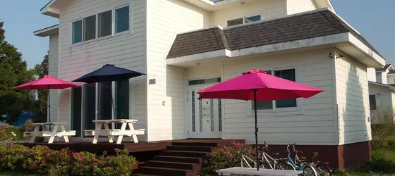 Olle Guesthouse | Jeju Adası - Seogwipo - Seogwipo Şehri