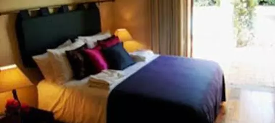 Village Green Guest House | Gauteng - City of Tshwane - Johannesburg (ve civarı) - Randburg