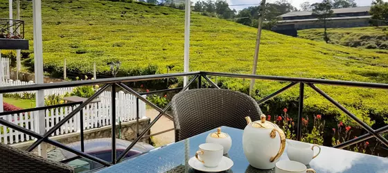 The Tea Garden | Merkez Vilayet - Nuwara Eliya Bölgesi - Nuwara Eliya