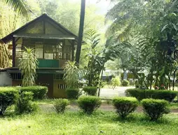 Soma Birds Lagoon | Kerala - Ernakulam Bölgesi - Koşin (ve civarı) - Kothamangalam