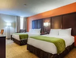 Comfort Inn & Suites | Indiana - Evansville (ve civarı) - Evansville