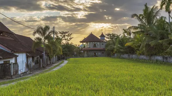 Bije Suite | Bali - Ubud - Ubud Kent Merkezi