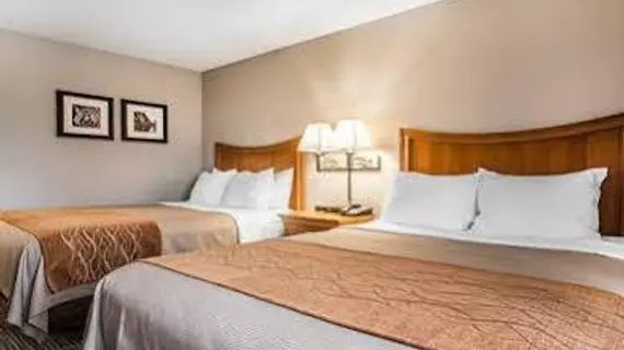 Comfort Inn | Missouri - Springfield (ve civarı) - Springfield