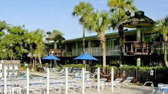 Magic Tree Resort | Florida - Orlando (ve civarı) - Disney's Maingate West