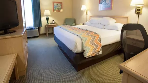 Hampton Inn Cape Girardeau | Missouri - Sikeston (ve civarı) - Cape Girardeau