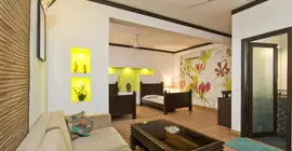 Trendy Bed and Breakfast and Service Apartments | Batı Delhi - Ulusal Eyalet Başkenti Delhi - Delhi (ve civarı) - Yeni Delhi