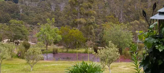 Nierinna Rise | Tazmanya - Hobart (ve civarı) - Margate