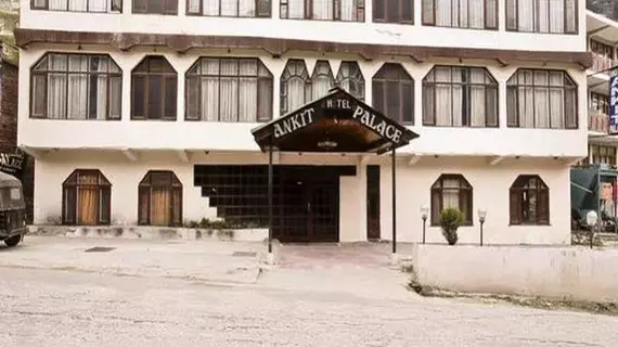 Hotel Ankit Palace | Himaşal Pradeş - Manali (ve civarı) - Kullu - Manali - Manali Yeni Kent Merkezi