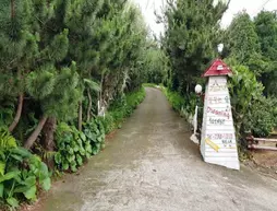 Dreaming Forest Pension | Jeju Adası - Seogwipo - Seogwipo Şehri