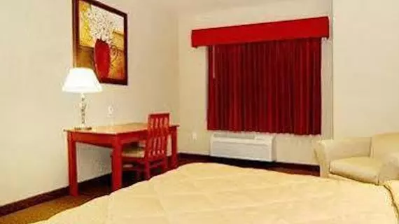 Comfort Inn at Convention Center Saint George | Utah - St. George (ve civarı) - St. George