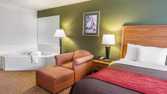 Comfort Inn & Suites Salem | Oregon - Salem (ve civarı) - Salem