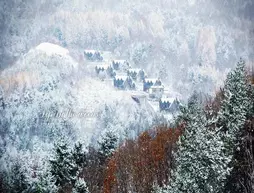 Chalet Resort | Gangwon - Pyeongchang