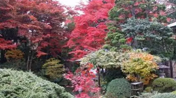 Hotel Natural Garden Nikko | Toçigi (idari bölge) - Nikko