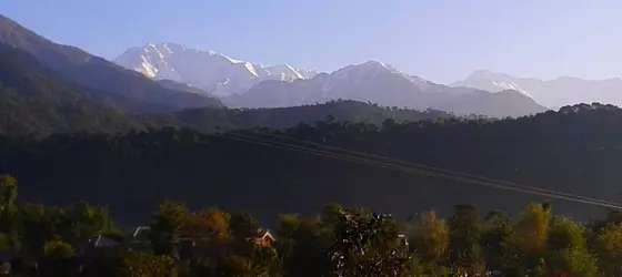 Hotel Thamsar | Himaşal Pradeş - Palampur