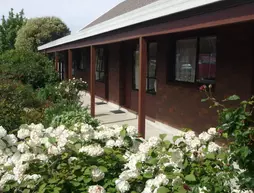 Carisbrook Motel | Otago - Dunedin (ve civarı) - Dunedin - Calversham - South Dunedin