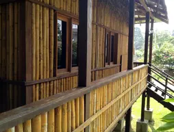 The Roots Eco Resort | Perak - Ipoh