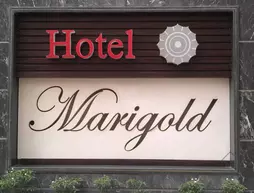 Hotel Marigold | Gujarat - Vadodara