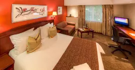 City Lodge Sandton Morningside Hotel | Gauteng - City of Tshwane - Johannesburg (ve civarı) - Sandton