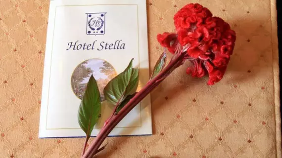 Hotel Stella | Lazio - Roma (ve civarı) - Roma Kent Merkezi - Rione XVIII Castro Pretorio