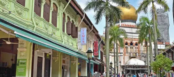 Sleepy Kiwi at Bugis | Singapur - Arab Street District - Kampong Glam