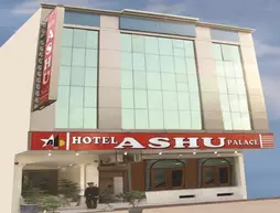 Ashu Palace | Batı Delhi - Ulusal Eyalet Başkenti Delhi - Delhi (ve civarı) - Yeni Delhi - Karol Bagh