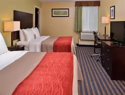 COMFORT INN & SUITES EAST HARTFORD | Connecticut - Hartford (ve civarı) - East Hartford