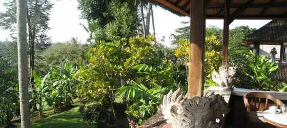 Sanggingan Villa | Bali - Ubud - Kedewatan