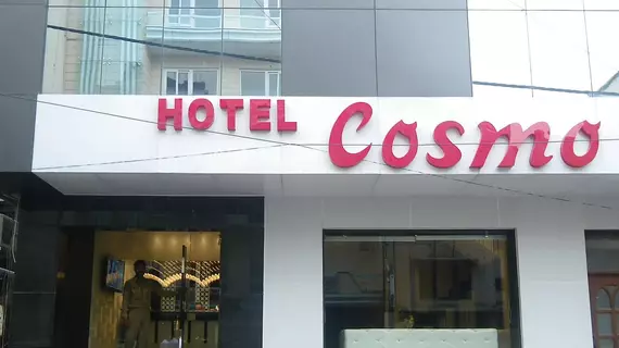 Hotel Cosmo | Batı Delhi - Ulusal Eyalet Başkenti Delhi - Delhi (ve civarı) - Yeni Delhi - Karol Bagh