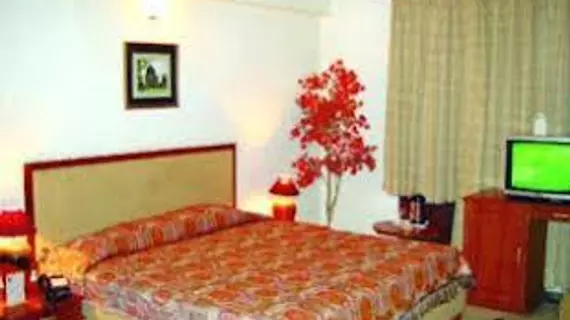 Hotel Welcome Palace | Batı Delhi - Ulusal Eyalet Başkenti Delhi - Delhi (ve civarı) - Yeni Delhi - Paharganj