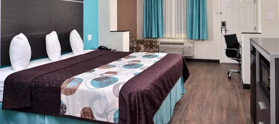 Americas Best Value Inn and Suites Spring / N Houston | Teksas - Houston (ve civarı) - Spring