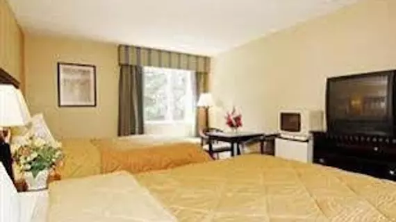 Comfort Inn Edison | New Jersey - Franklin Township - Somerset (ve civarı) - Edison