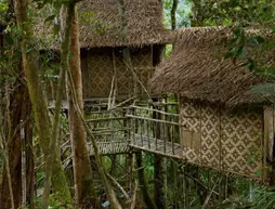 Terra's Tree House | Pahang - Brinchang