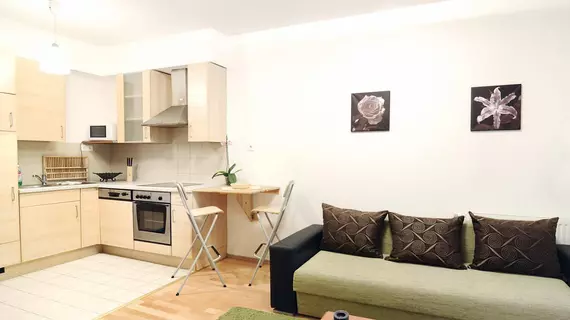 Comfort Apartments | Pest County - Budapeşte (ve civarı) - Budapeşte Kent Merkezi - Erzsebetvaros