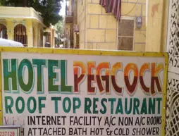 Hotel Peacock | Racastan - Jaisalmer (ve civarı) - Jaisalmer