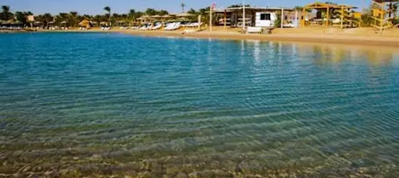 Club Paradisio El Gouna | Kızıldeniz İli - Hurgada (ve civarı) - El Gouna