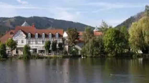 Landhaus Zu den Rothen Forellen | Saxony (Saksonya)-Anhalt - Ilsenburg