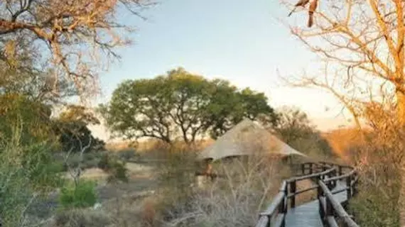 Hamiltons Tented Camp Hotel | Mpumalanga - Mbombela - Kruger National Park